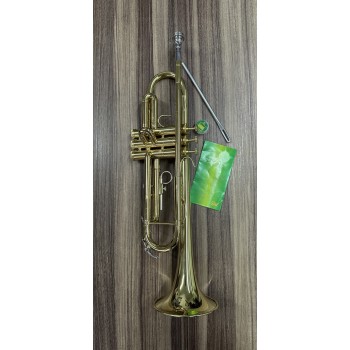 Trompete Weril ET1172 Laqueado Si Bemol com CAPA - Usado